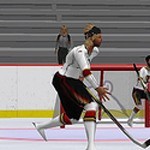 Hockey teams playing in second life for the playoffs