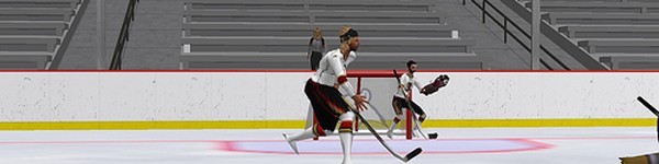 Hockey teams playing in second life for the playoffs